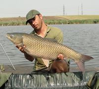 Balata LAZAR Alexandria  15 - 16 aug.